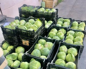 recuperation-matiere-premiere-les-cuisiniers-du-potager
