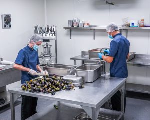 salle-de-preparation-froide-laboratoire-les-cuisiniers-du-potager